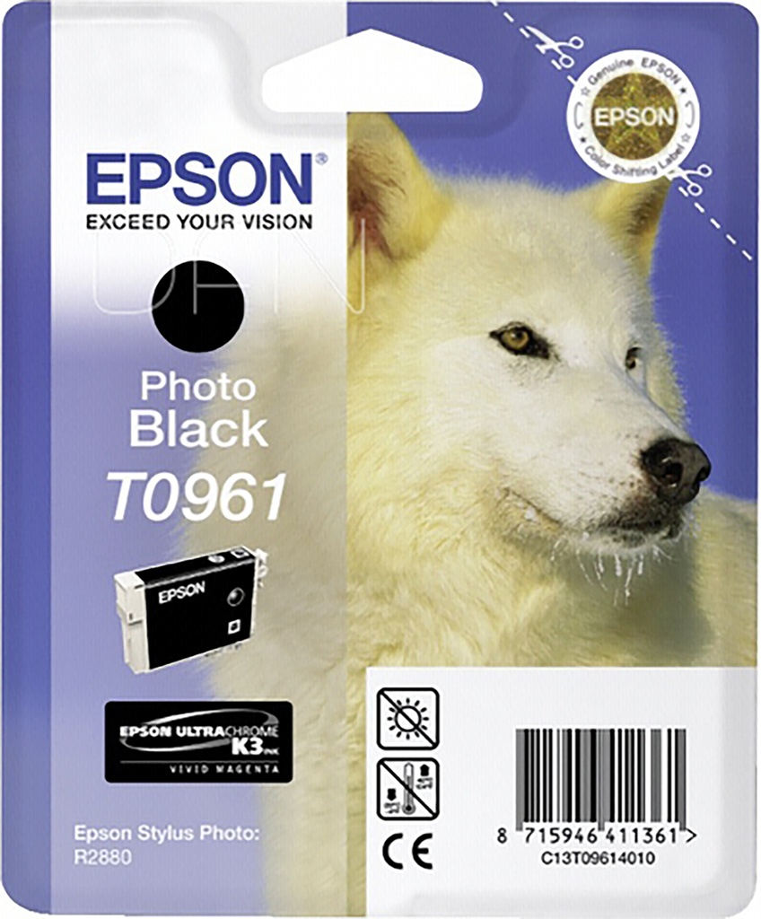 Bläck Epson T0961 svart