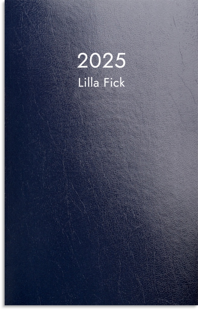 Lilla Fick blå kartong 2025