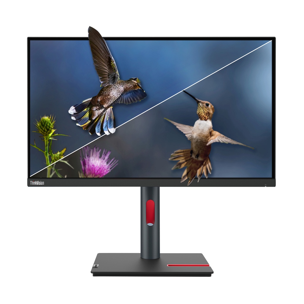 ThinkVision T24i-30 24"